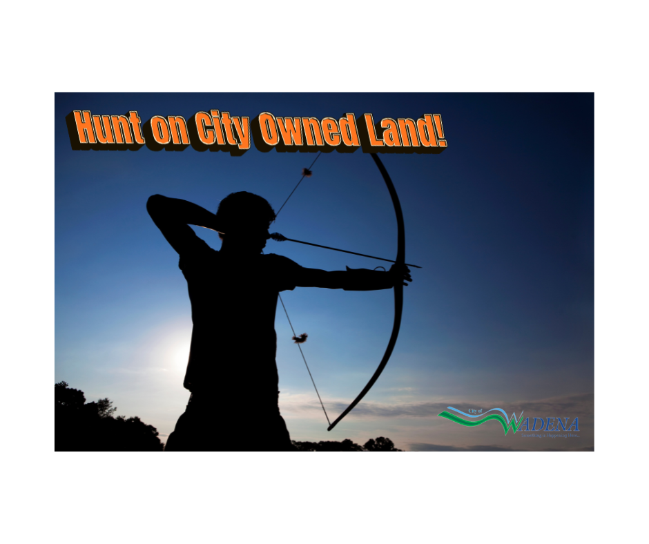 ARCHERY APP