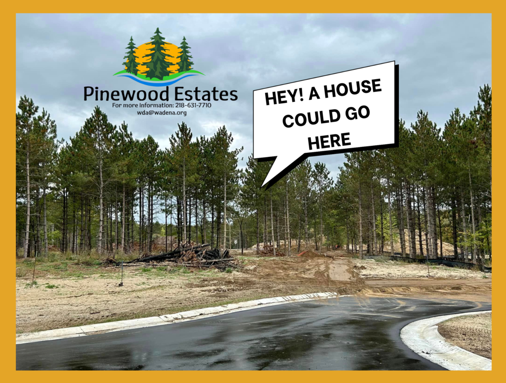 PINEWOOD ESTATES - HEY A HOUSE COULD GO HERE