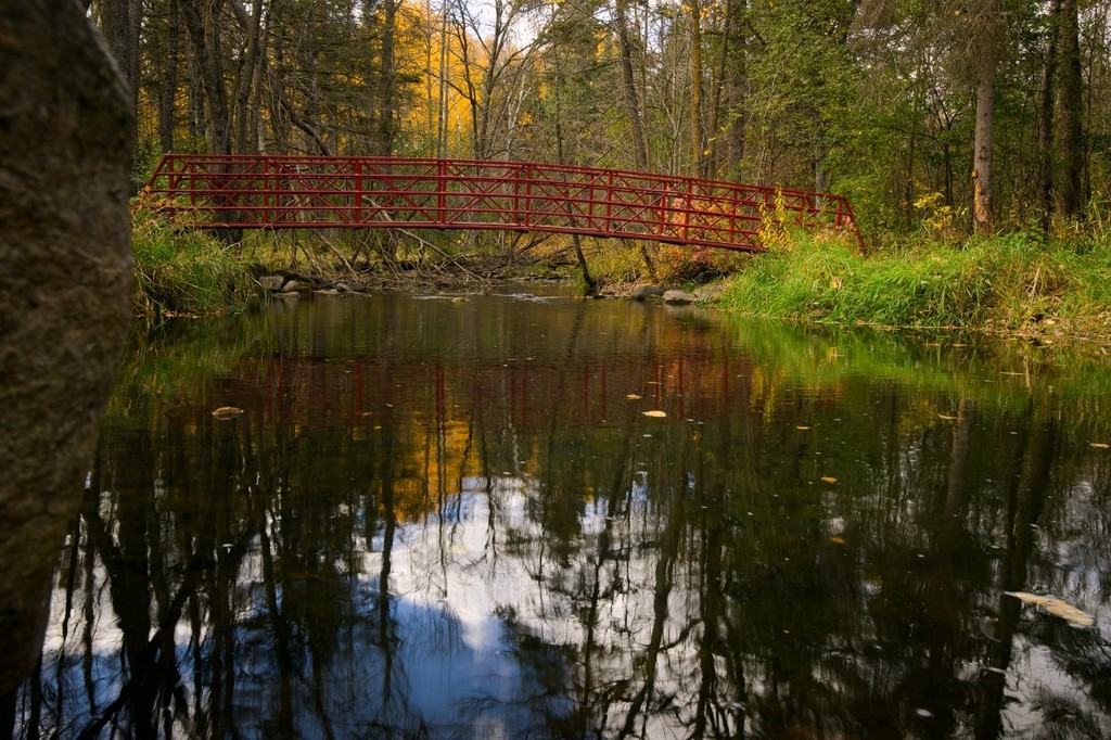 Black's Grove Park Bridge