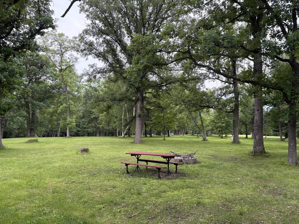 Black's Grove Park