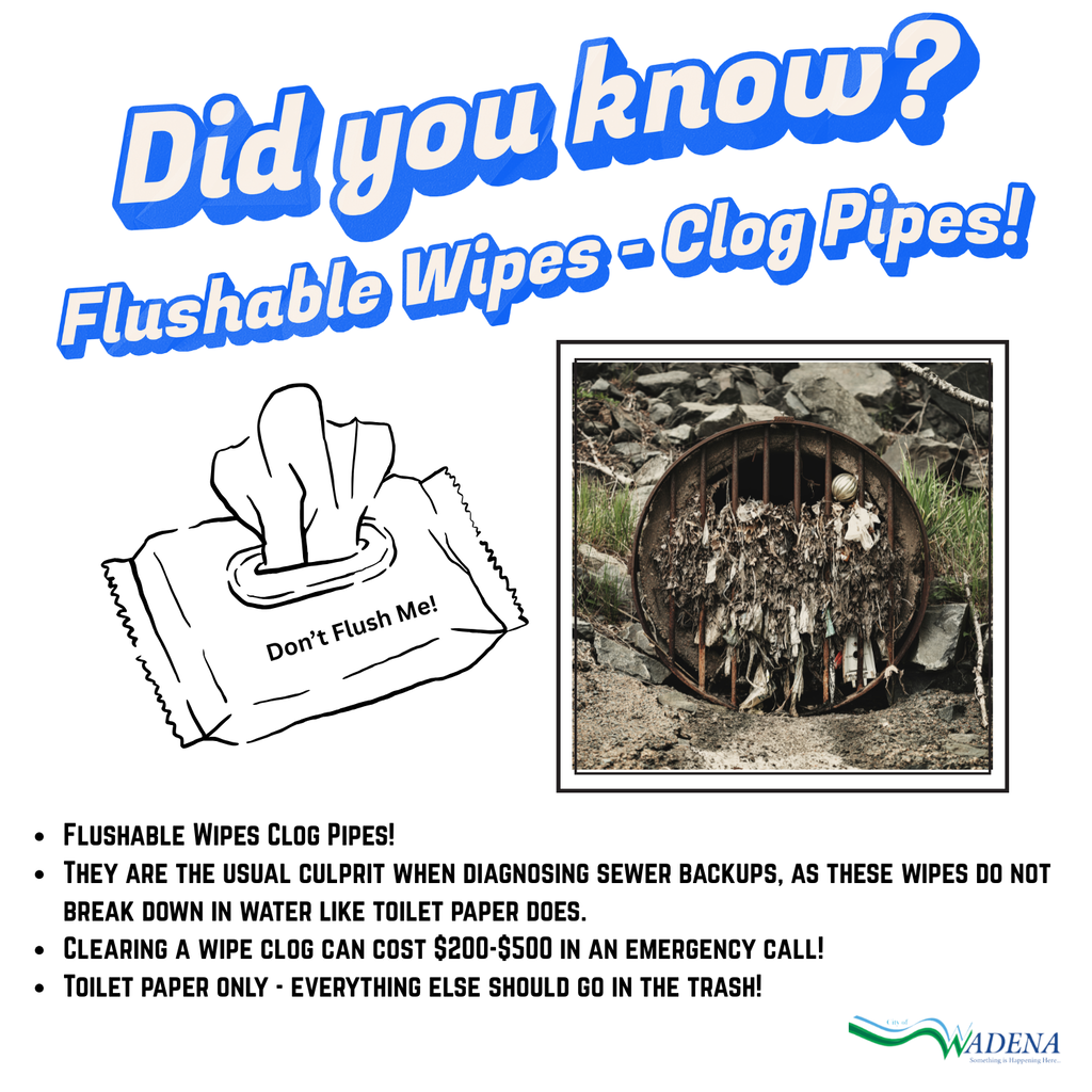 Flushable Wipes Clog Pipes