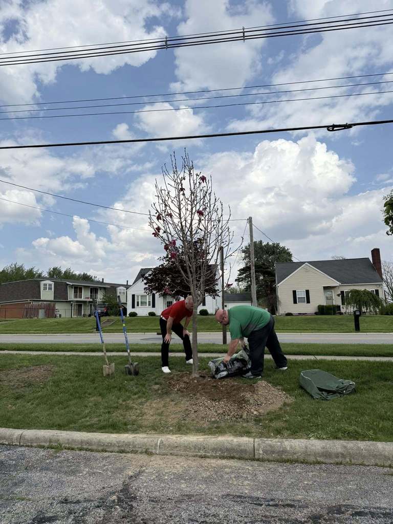 Arbor Day