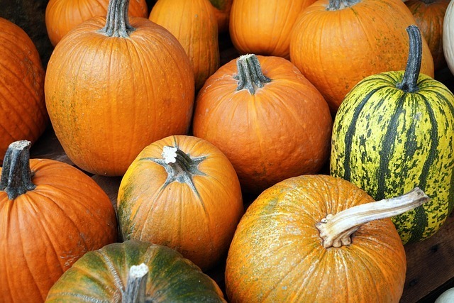 Fall festival pumpkins