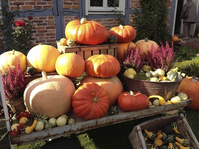 PUMKIN DECORATIONS