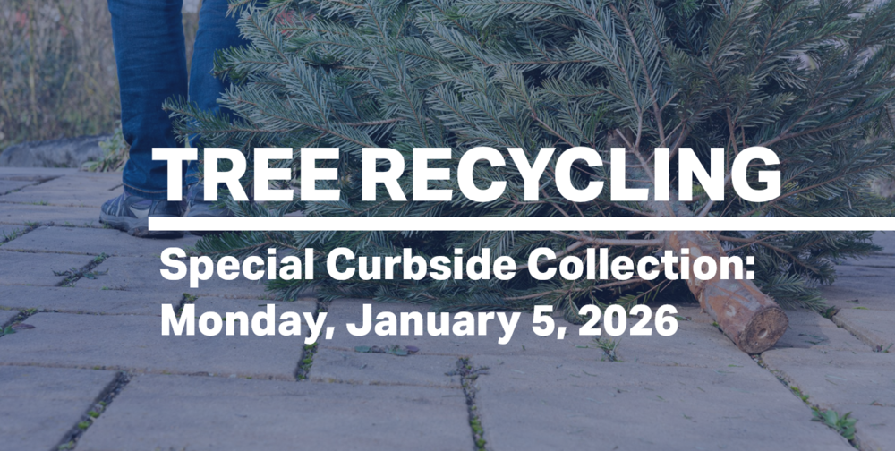 tree recycle curbside january 5 2026