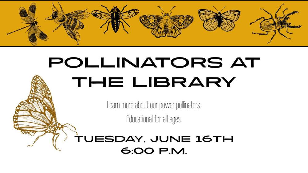 Pollinators at the Library
