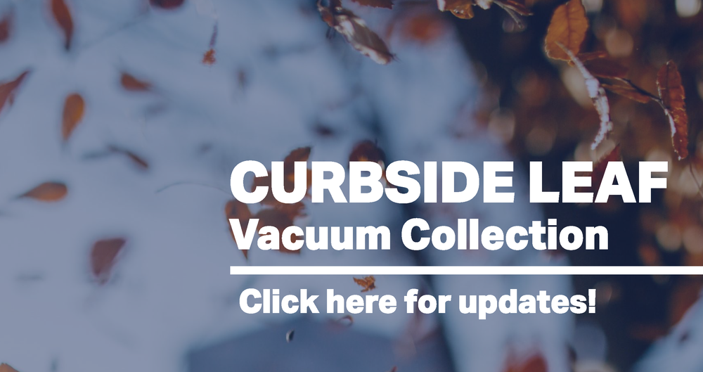 curbside leaf pick up