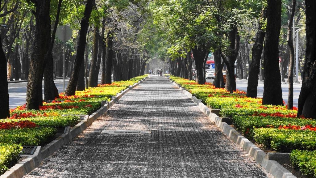 urban forest