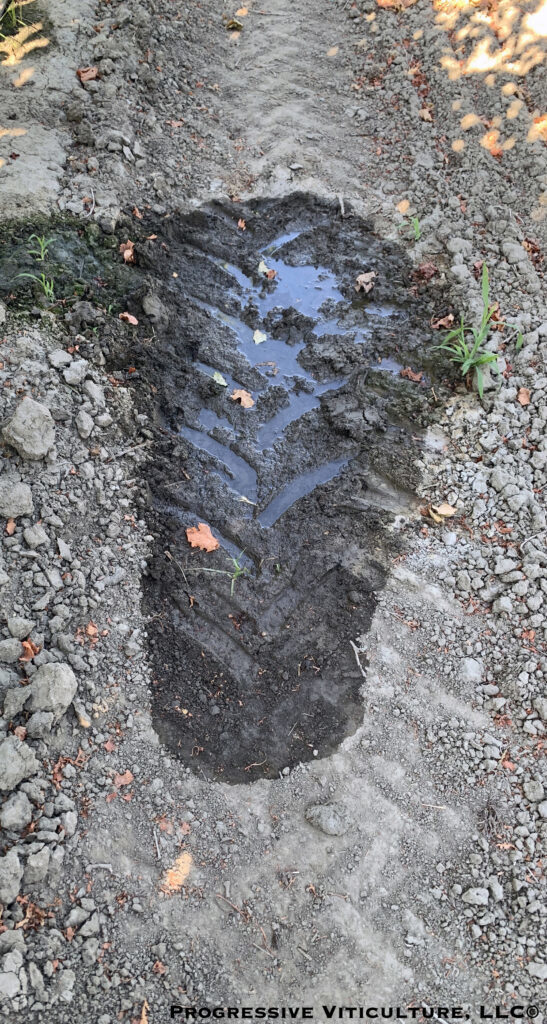 compacted soil