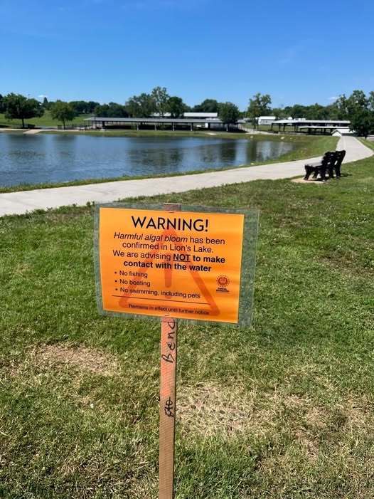 Lions Lake