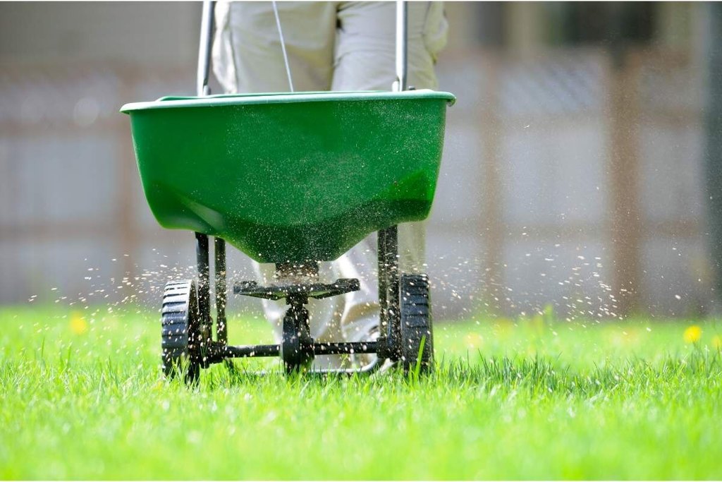 Lawn-Fertilization