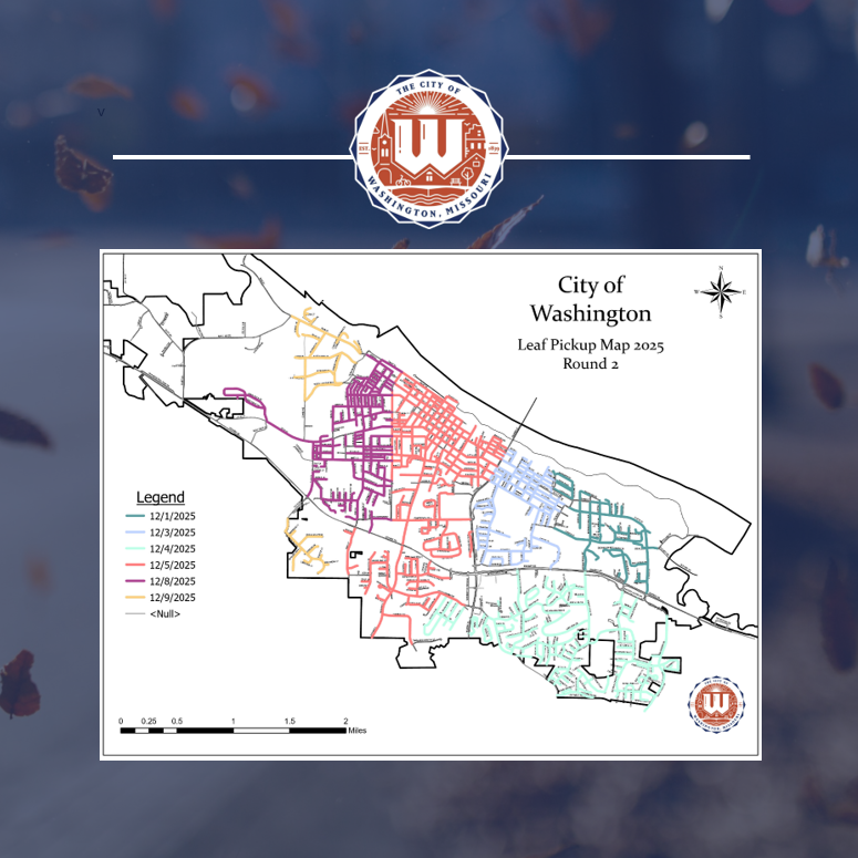 leaf collection complete