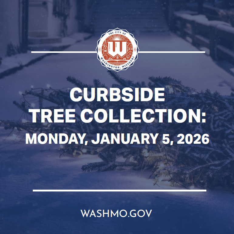 curbside tree collection