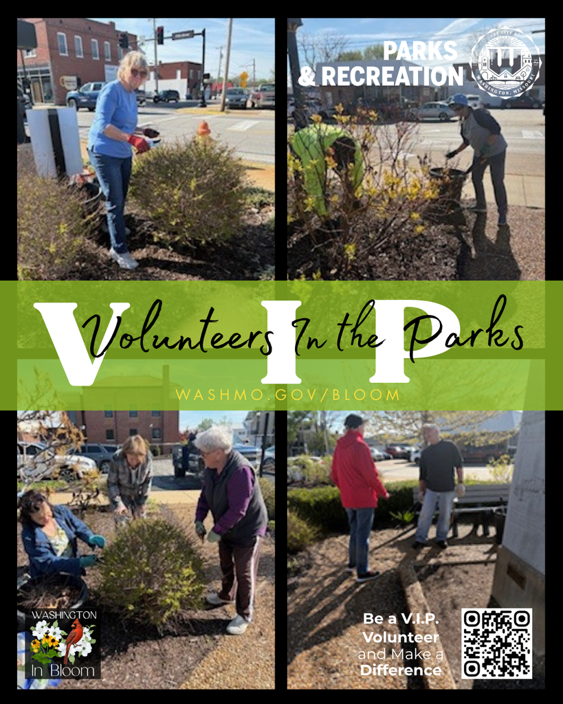 VIP Volenteers In the Park - WashMO.gov/Parks - Be a VIP Volenteer and Make a Difference - QR to link to fill out the VIP application. four images of the VIP team trimming and weeding the flower beds around Washington Parks areas.