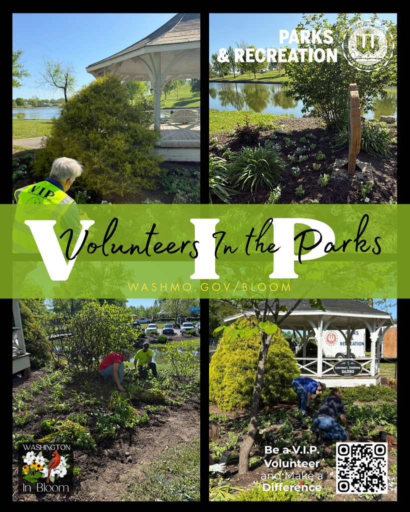 VIPs (Volunteers In the Parks ) planting around the gazebo at Lionslake in Washington Mo today! Become a VIP and make a difference!