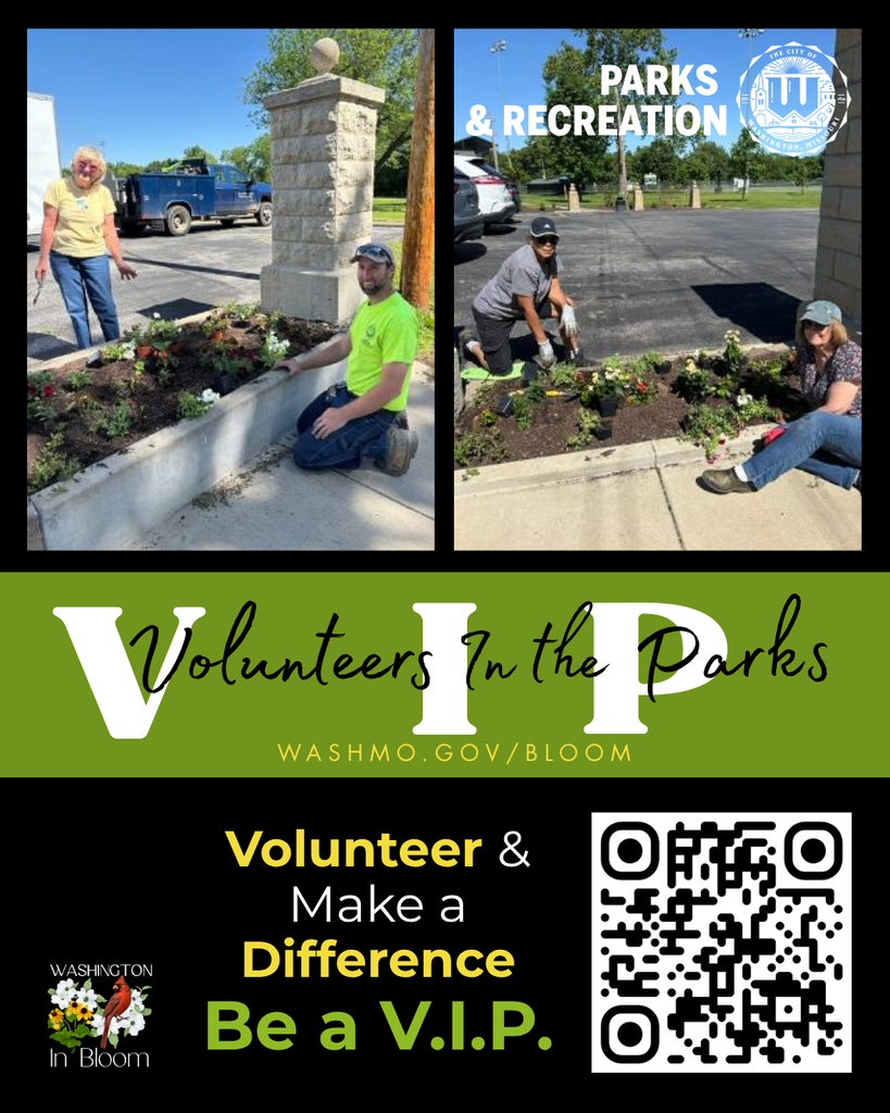 First image is of a man and women planting flowers at Main Park in beautiful shades of white and royal red. The second image is of two women at a differant flower bed at the park planting  flowers in the same shades. Text reads: Volunteers In the Parks washmo.gov/Bloom Volunteer & make a difference. Be a V.I.P.  At the bottom right corner is a QR code that links to the membership form to join the V.I.P.s