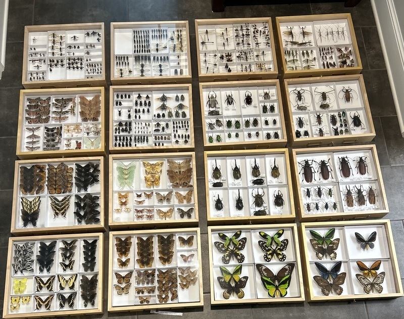 Local John Gildehaus will discuss his collection of pollinators and other insects from his private collection. Family.