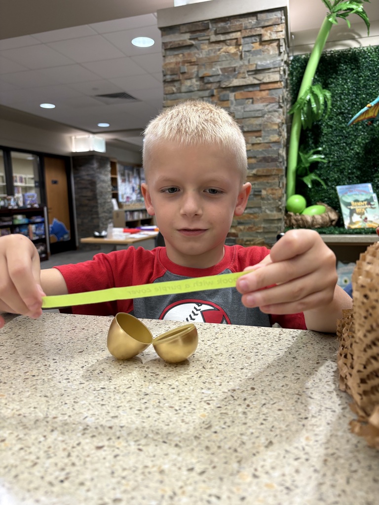 The Golden Egg Challenge