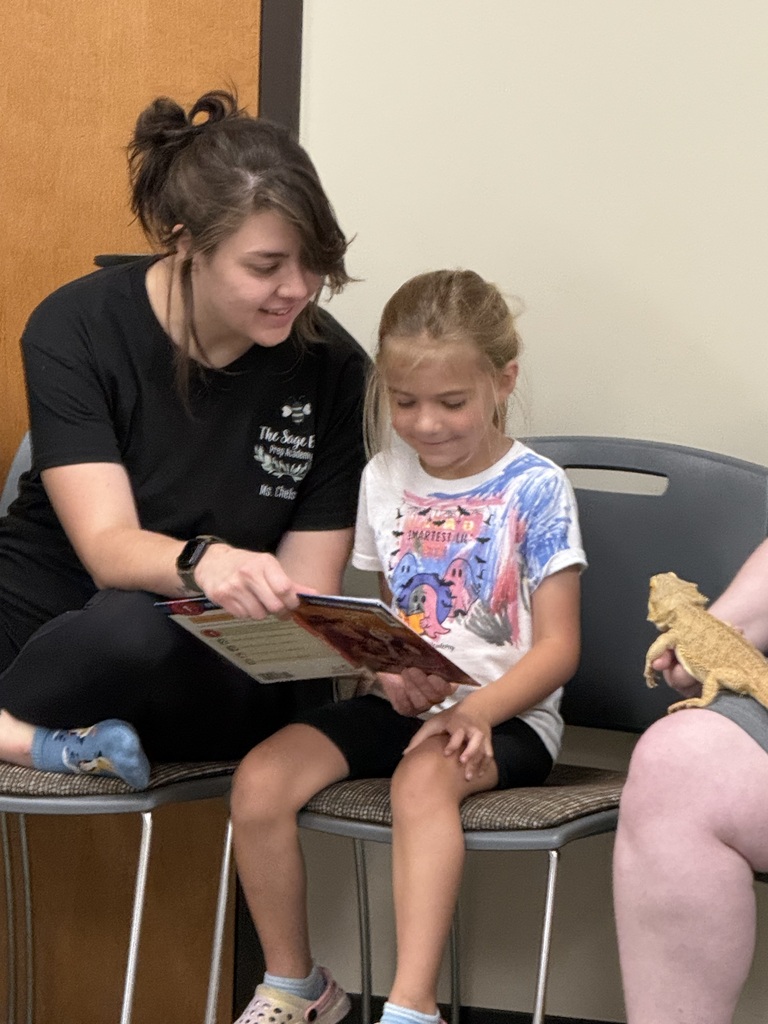 Meeting a Bearded Dragon