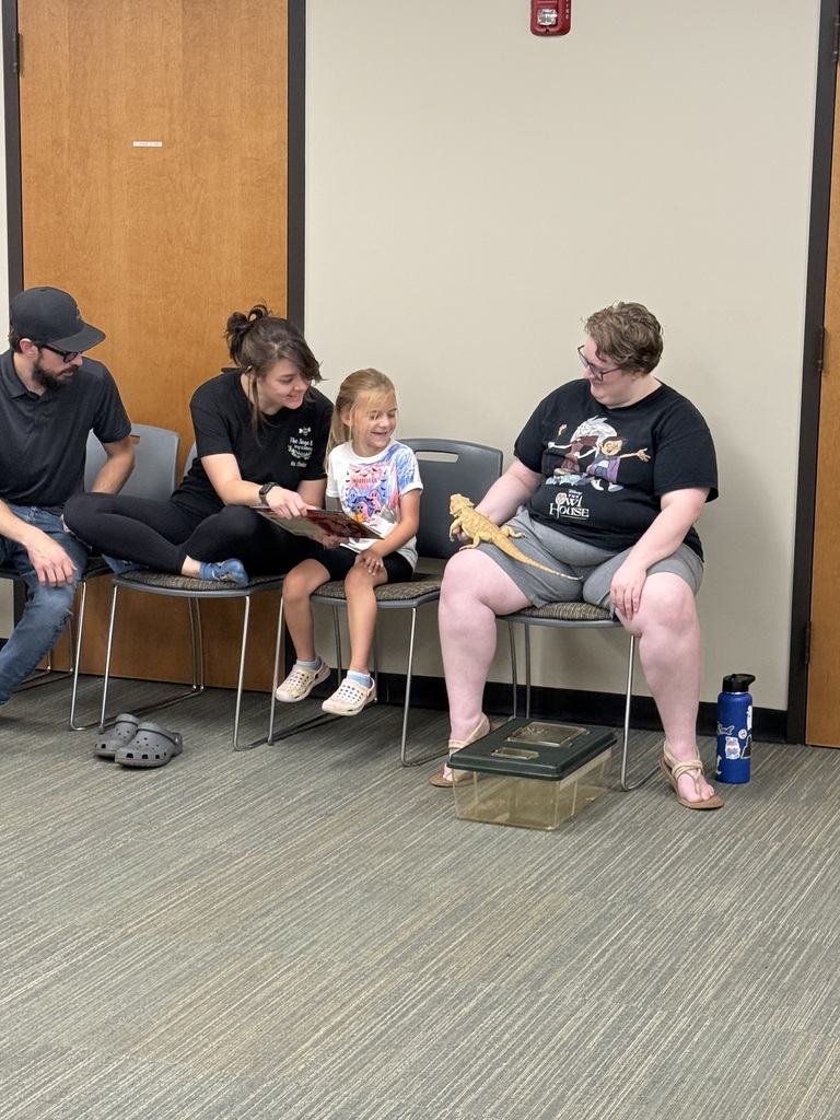 Meeting a Bearded Dragon