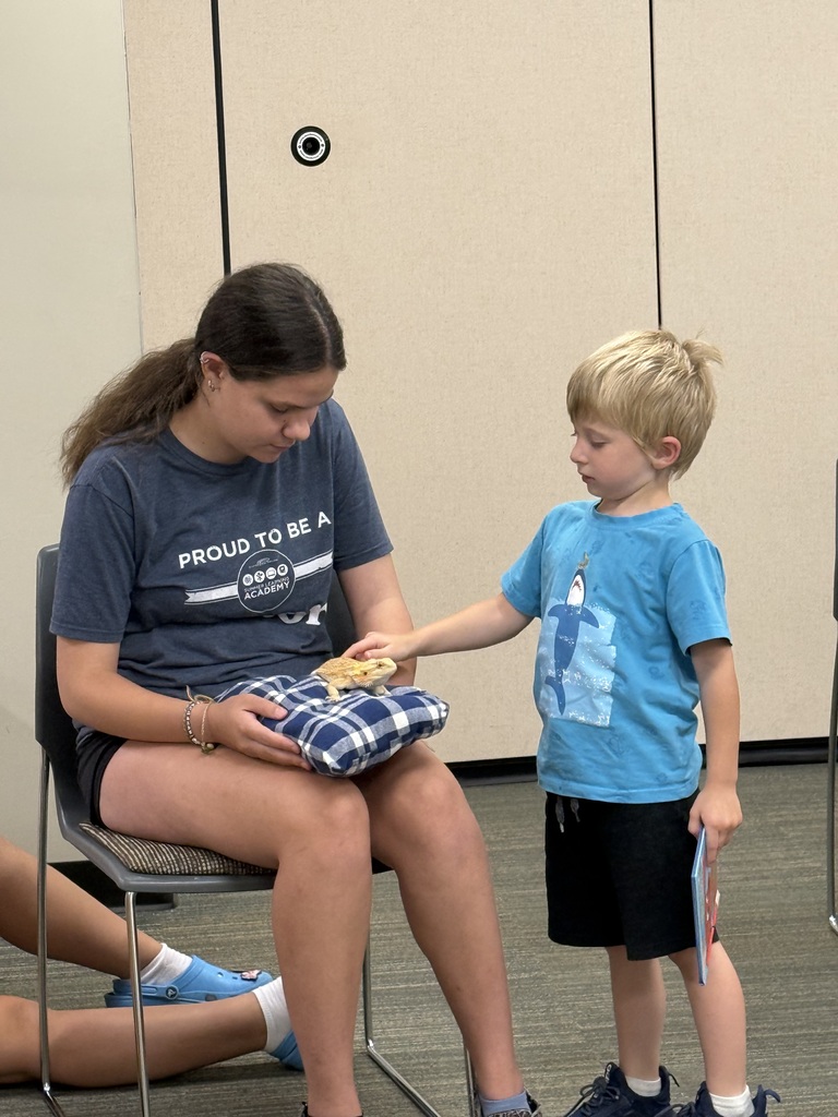 Meeting a Bearded Dragon