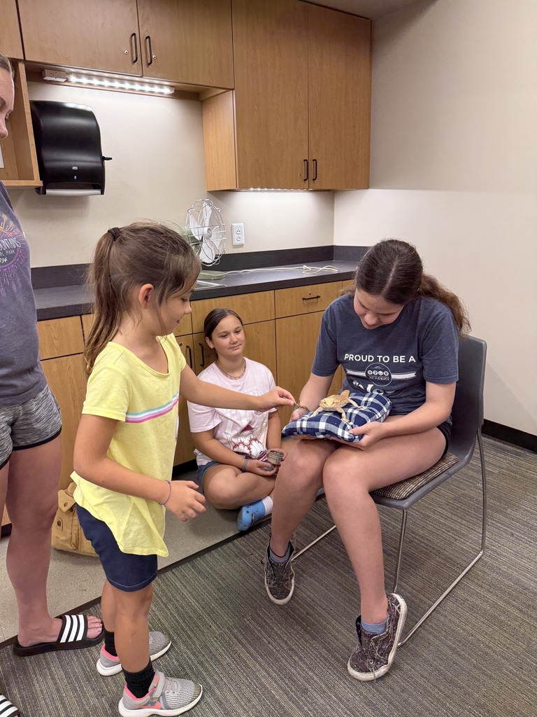 Meeting a Bearded Dragon