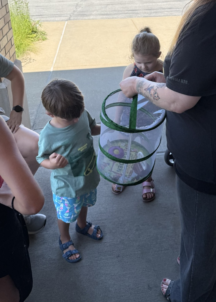 butterfly release