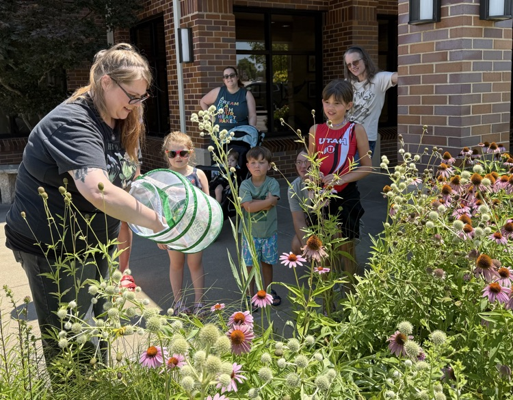 butterfly release