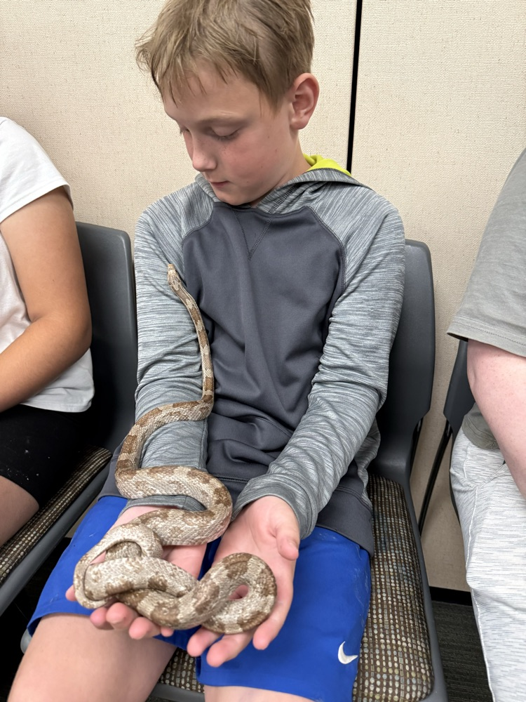 read to a reptile