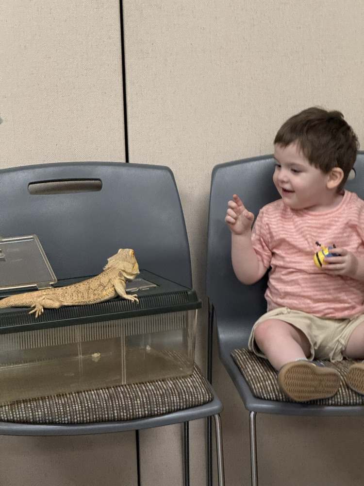 read to a reptile