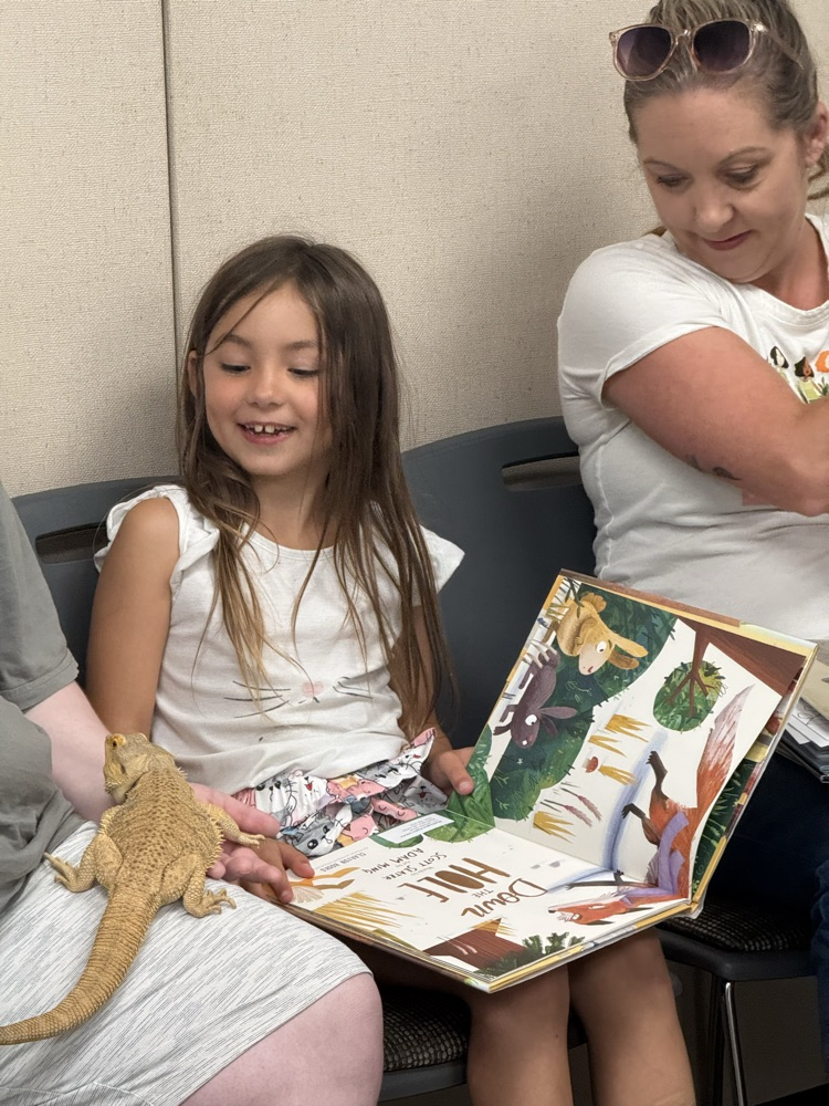 Bearded Dragon in read with a reptile