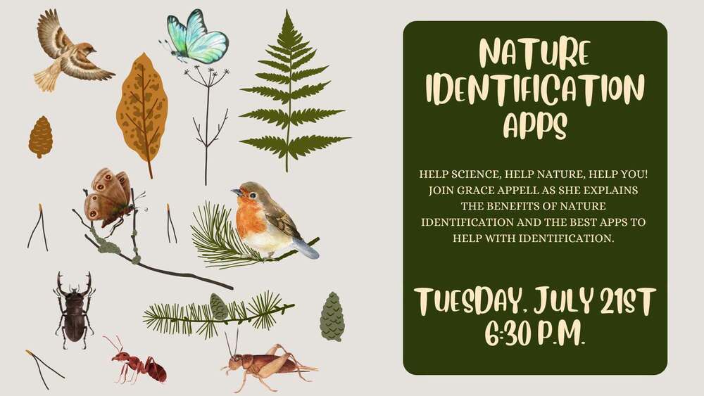 Nature ID Apps