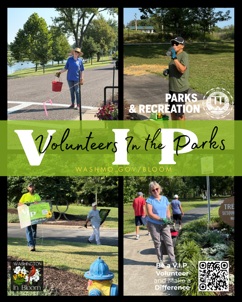 4 individual images of our 4 of our volunteers and one of Parks Department Arborist weeding and putting out our VIP sign around All Abilities Playground. Image reads VIP - Volunteers in the Parks Washimo.gov/bloom - Be a V.I.P. Volunteer and Make a Difference