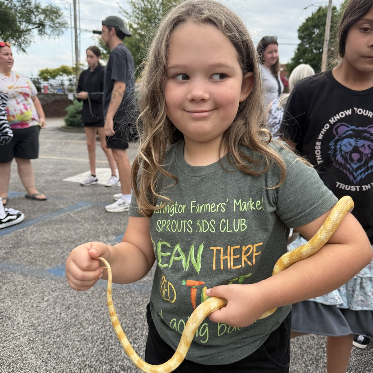 corn snake