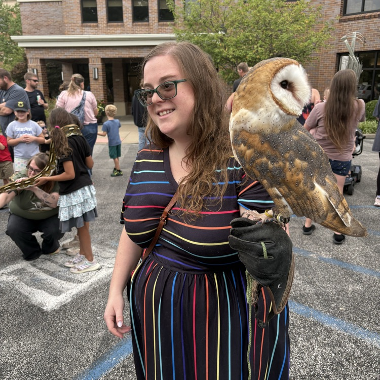 owl