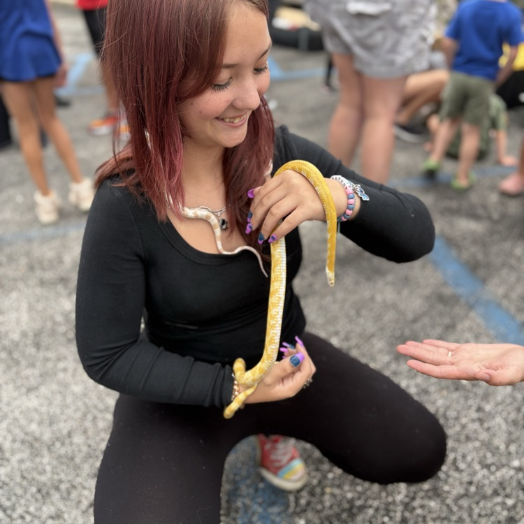 snakes