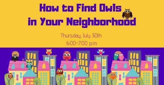 How to Find Owls... Thurs July 30, 6:00-7:00p.m.