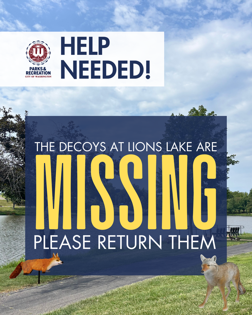 HELP NEEDED! The Decoys at Lions Lake Are MISSING! Please Return Them - Image of Lions Lake and the red fox decoy and the grey coyote decoys