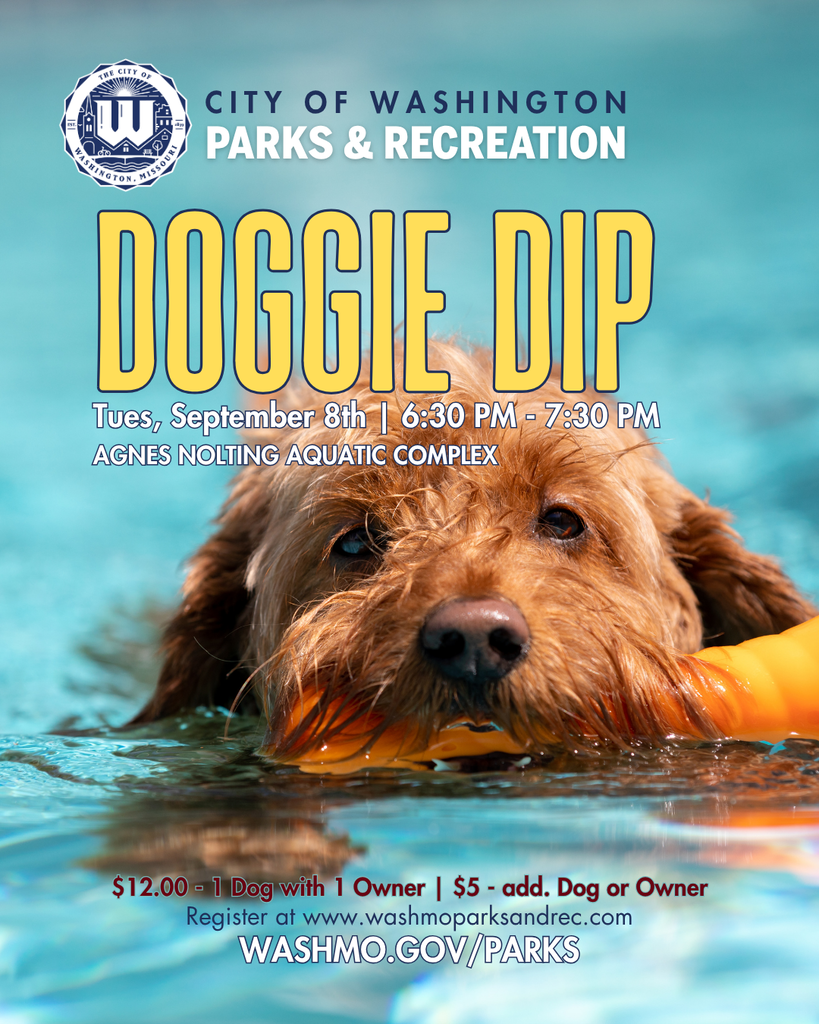 Image of a light brown shaggy dog with an orange pool toy  swimming - Reads:  City of Washington Parks & Recreation - Doggie Dip - Tues. September  8th | 6:30 PM - 7:30 PM - Agnes Nolting Aquatic Complex - $12.00 for 1 dog and 1 Owner | $5 per additional owner or dog - Register at www.washmoparksrec.com - WashMO.gov/Parks