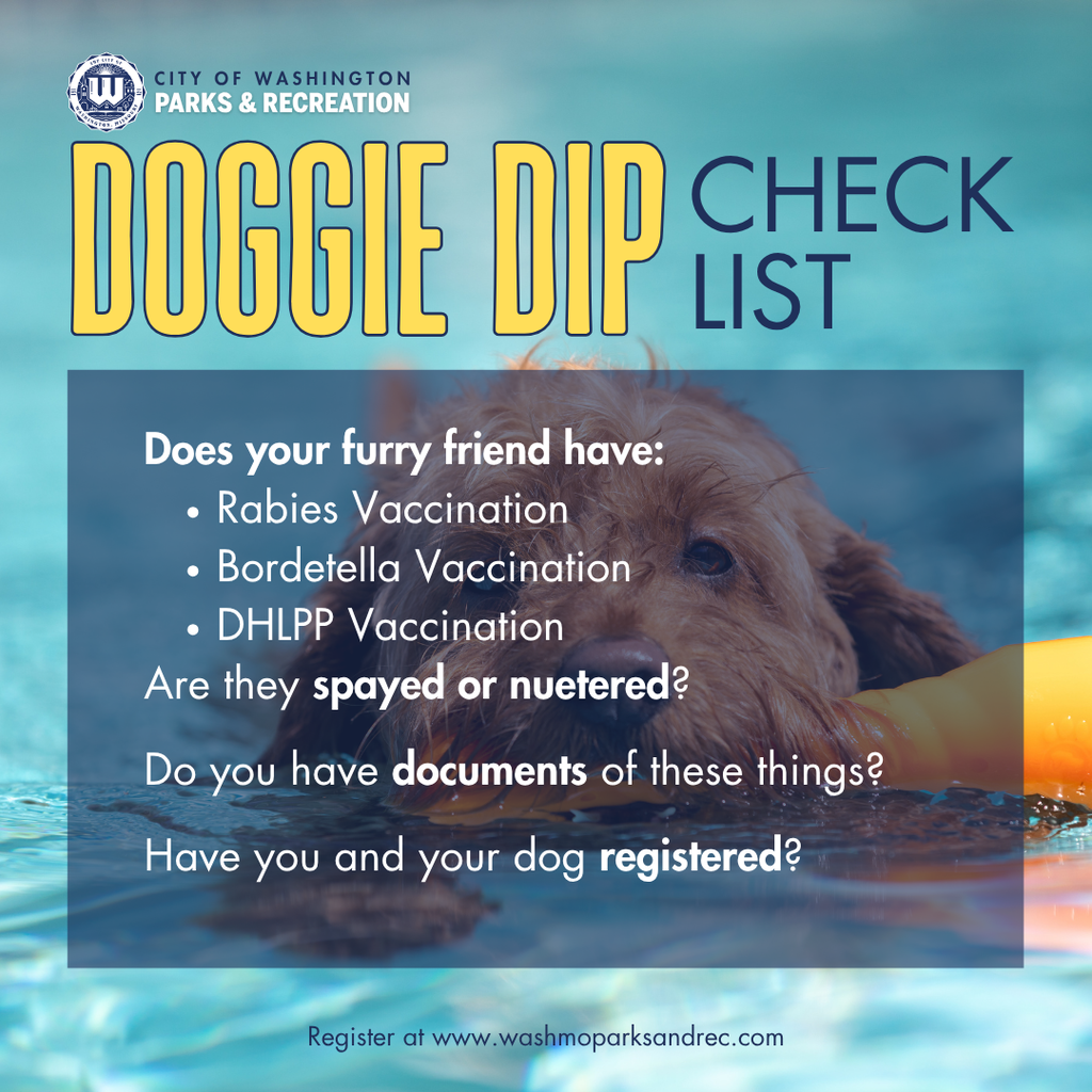 Doggie Dip Check List - Does your furry friend hace: Rabies Vaccination, Bordetella Vaccination, DHLPP Vacination. Are they spayed and nuetered? Do you have Documents of these things? Have you and your dog registered? IMAGE of a light brown dog swimming with a toy in his mouth.
