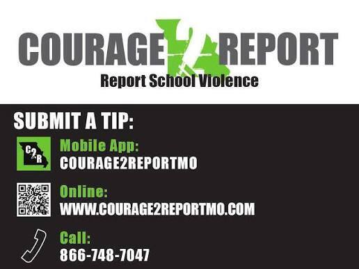 Courage 2 Report 