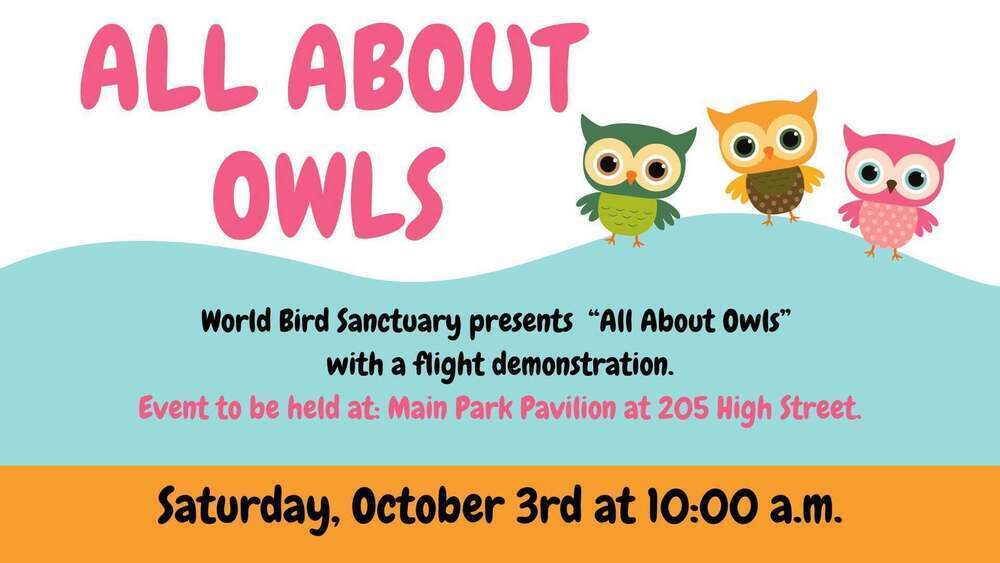 All About Owls October 3 10 am