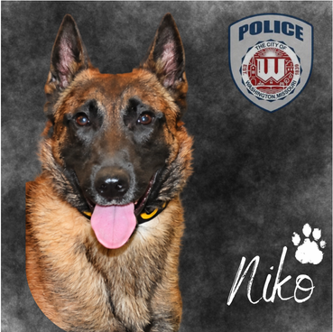 Photo of new police K9 with name, "Niko" and a paw print