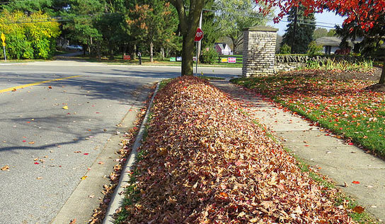 Leaves piled at back of curb