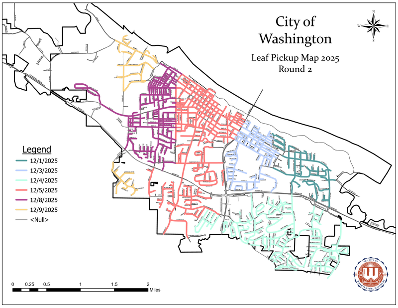 Leaf Collection dec 9