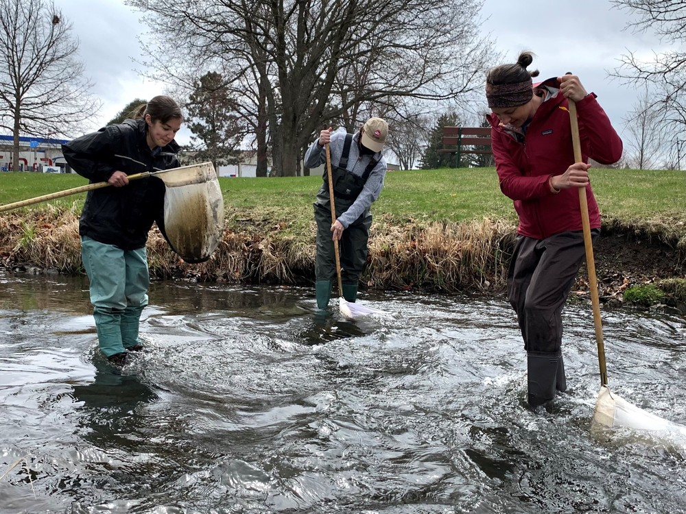 Three people with nets, standing in a stream 