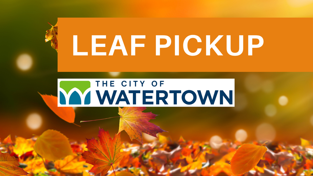 Autumn leaves with the text "leaf pickup" and city logo