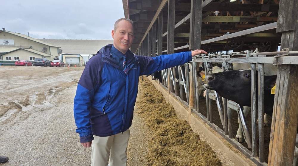 Mayor with cow