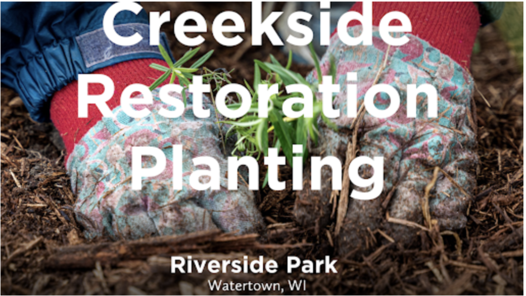 Creeckside