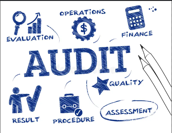 White background with royal blue images and words. Words include evaluation, audit, operations, finance, result, procedure, assessment and quality. Images include checkmark, briefcase, star, calculator, wheel with dollar sign, magnifying glass and pencils. 